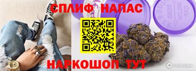 МДПВ Малгобек