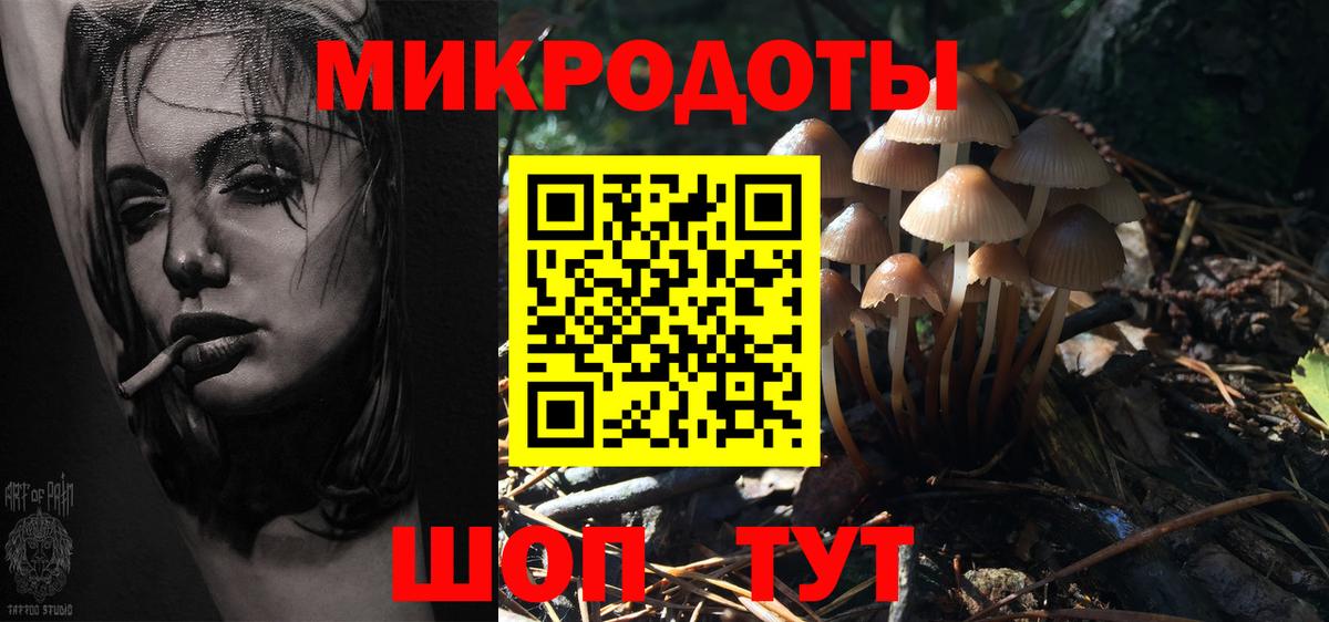 Горно-Алтайск  Псилоцибиновые грибы Magic Shrooms  Вход с VPN 